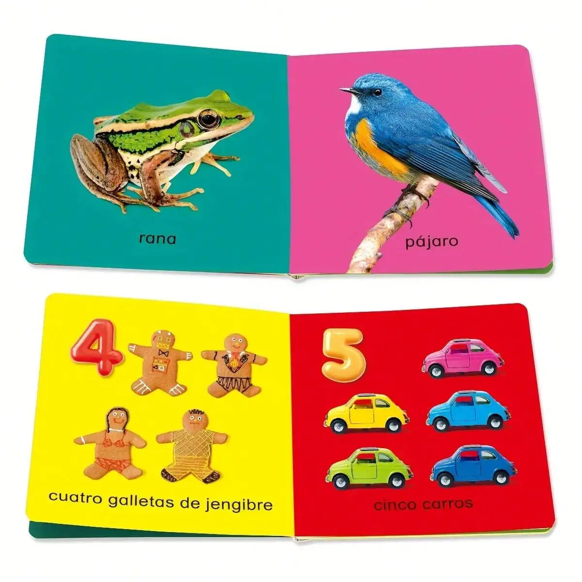 Set de 6 libros educativos en español – Herramienta visual para el aprendizaje